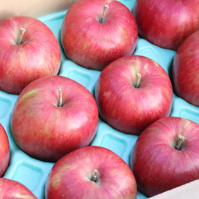 りんご【シナノスイート】
