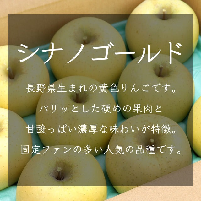 りんご【シナノゴールド】 家庭用