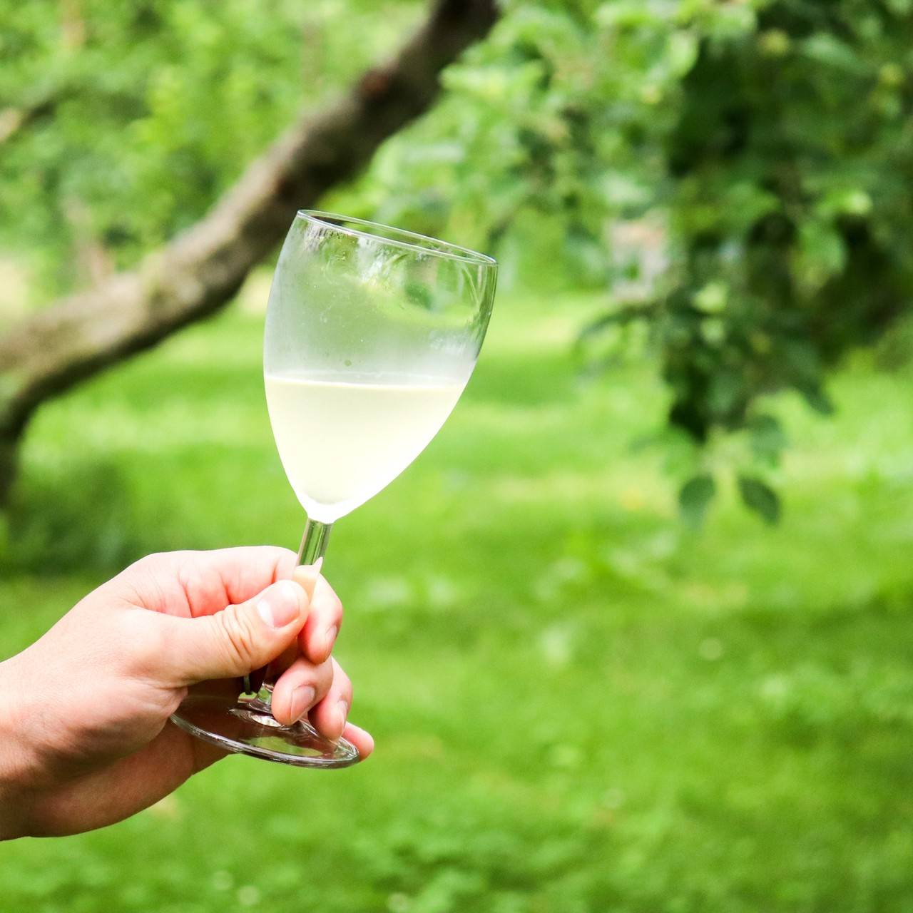 シードル低アルコールタイプ甘口(750ml) MARUKAME CIDER 長野県産