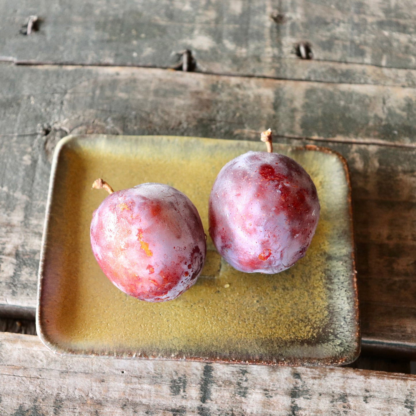 生プルーン 【オパール】