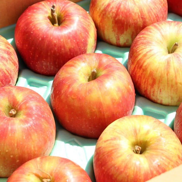 りんご「つがる」