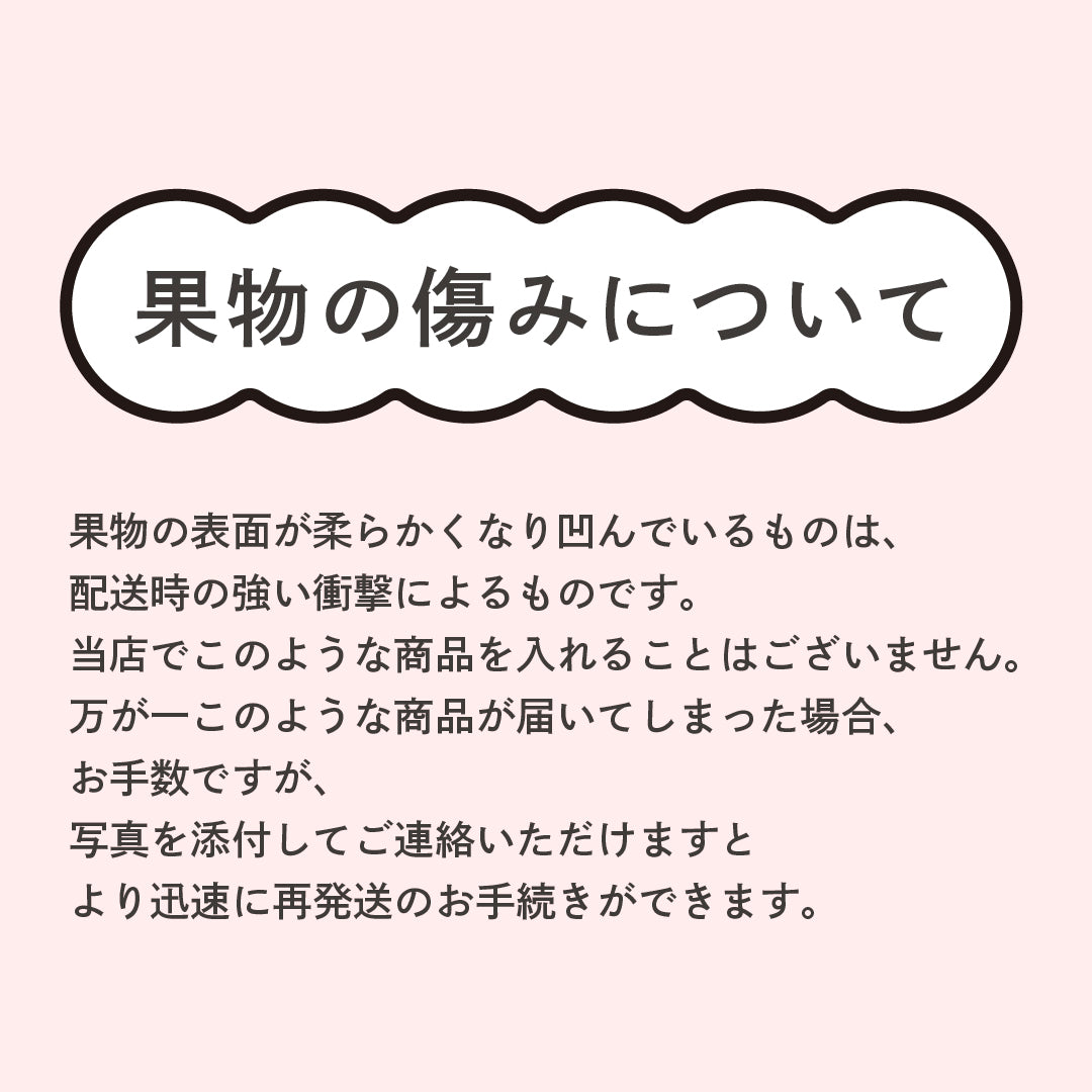 【食べるシャンパン!】ピンクレディーⓇ