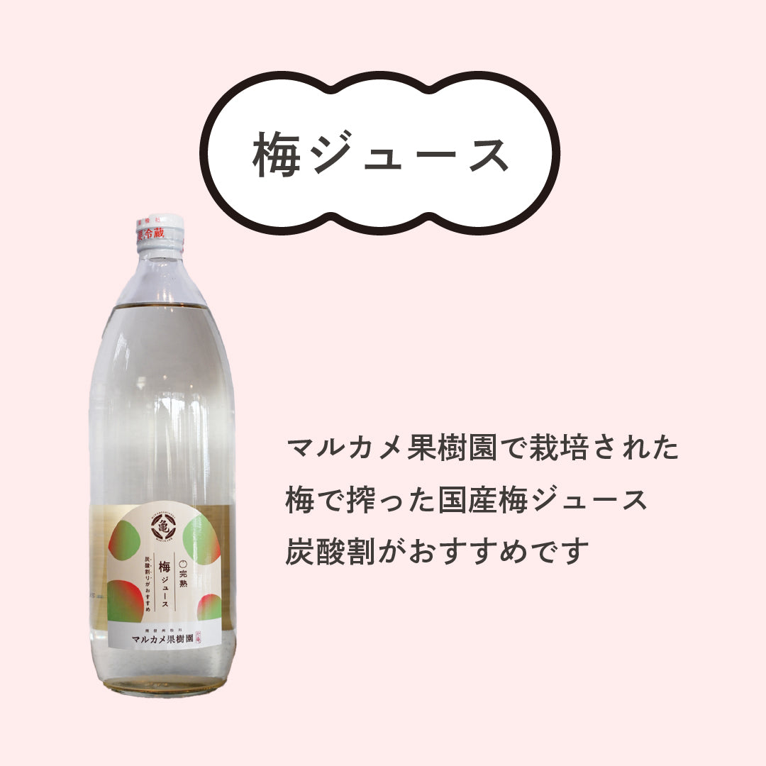 梅ジュース 長野県松川町産