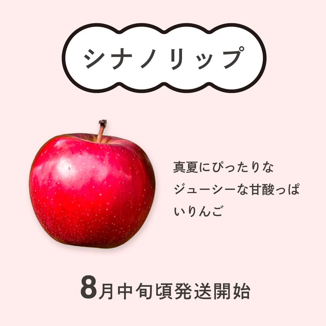 シナノリップ【ご家庭用】