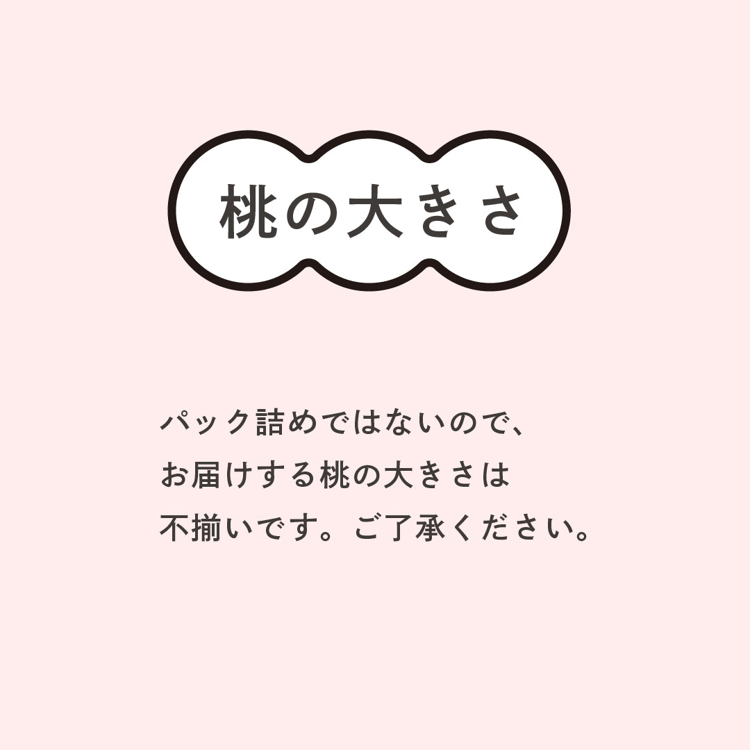 桃【あかつき】
