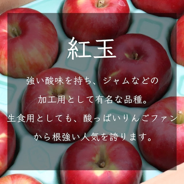 りんご”紅玉” 家庭用