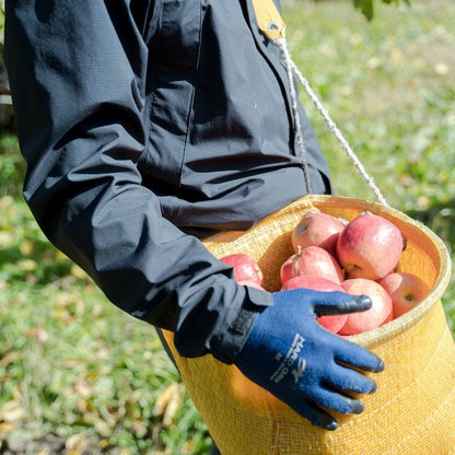 マルカメシードル２本飲み比べセット  長野県産