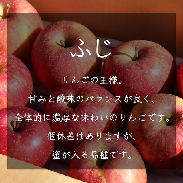 りんごの王様！ふじりんご 【家庭用】