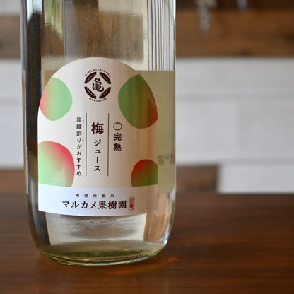 梅ジュース　長野県松川町産