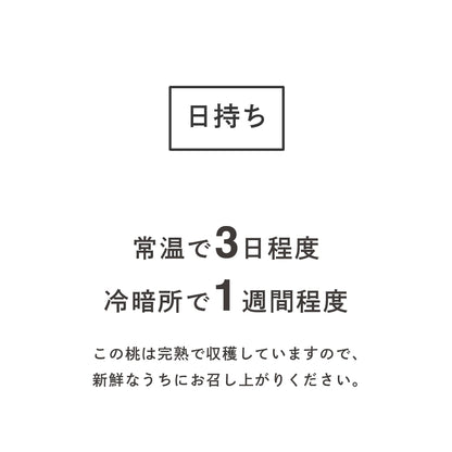 桃【あかつき】