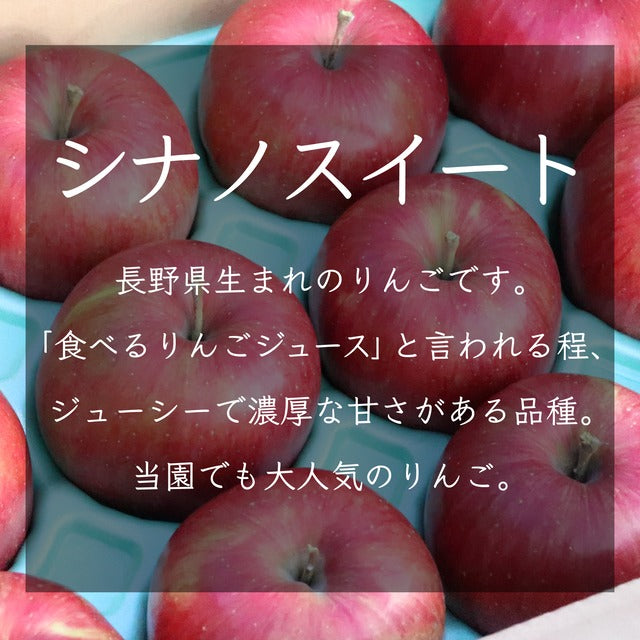 りんご【シナノスイート】