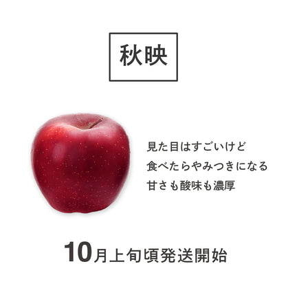 りんご【秋映】家庭用