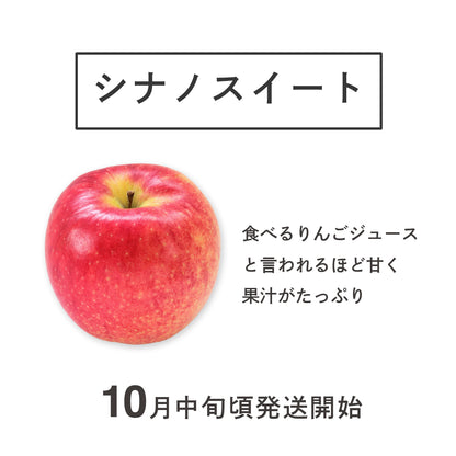 りんご【シナノスイート】