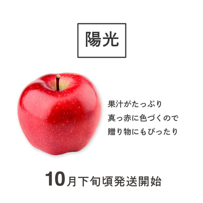 りんご【陽光】
