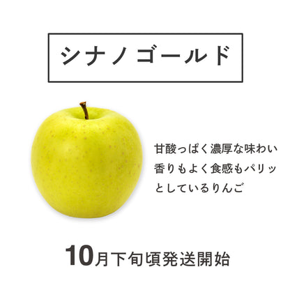 りんご【シナノゴールド】 家庭用