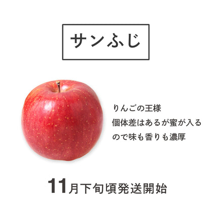 サンふじりんご 【ご家庭用】