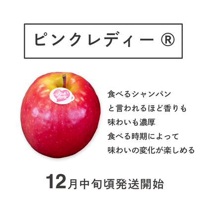 限定20箱！3種のりんご食べ比べセット【サンふじ】【王林】【ピンクレディー®】