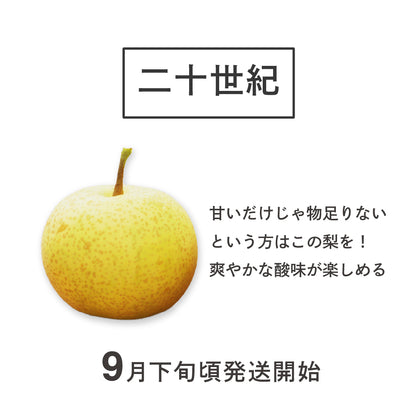 二十世紀梨 長野県松川町産