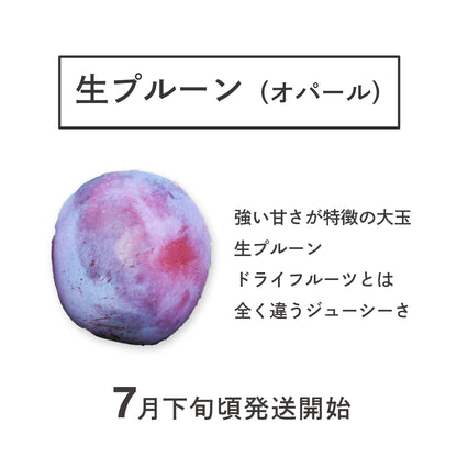 生プルーン 【オパール】
