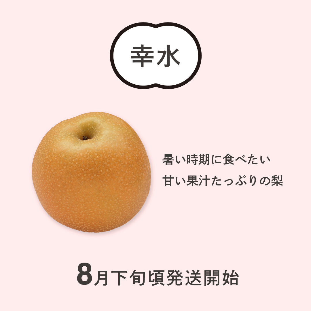 幸水梨 長野県松川町産