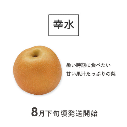 幸水梨 長野県松川町産