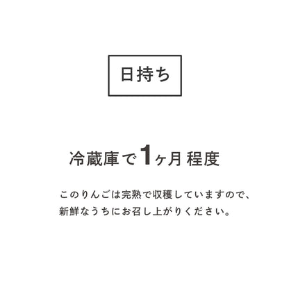 サンふじりんご 【ご家庭用】