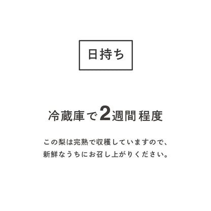 二十世紀梨 長野県松川町産