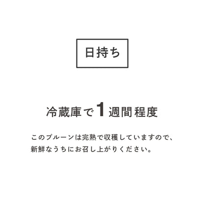 生プルーン 【オパール】