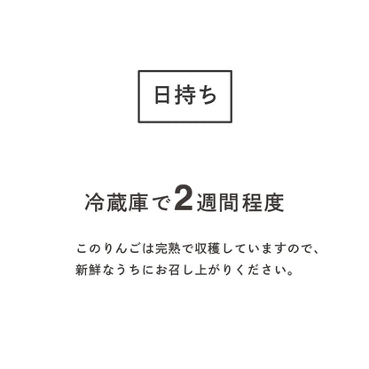 りんご【シナノスイート】