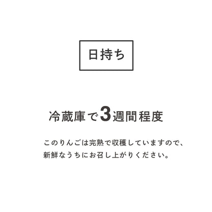 りんご【シナノゴールド】 家庭用