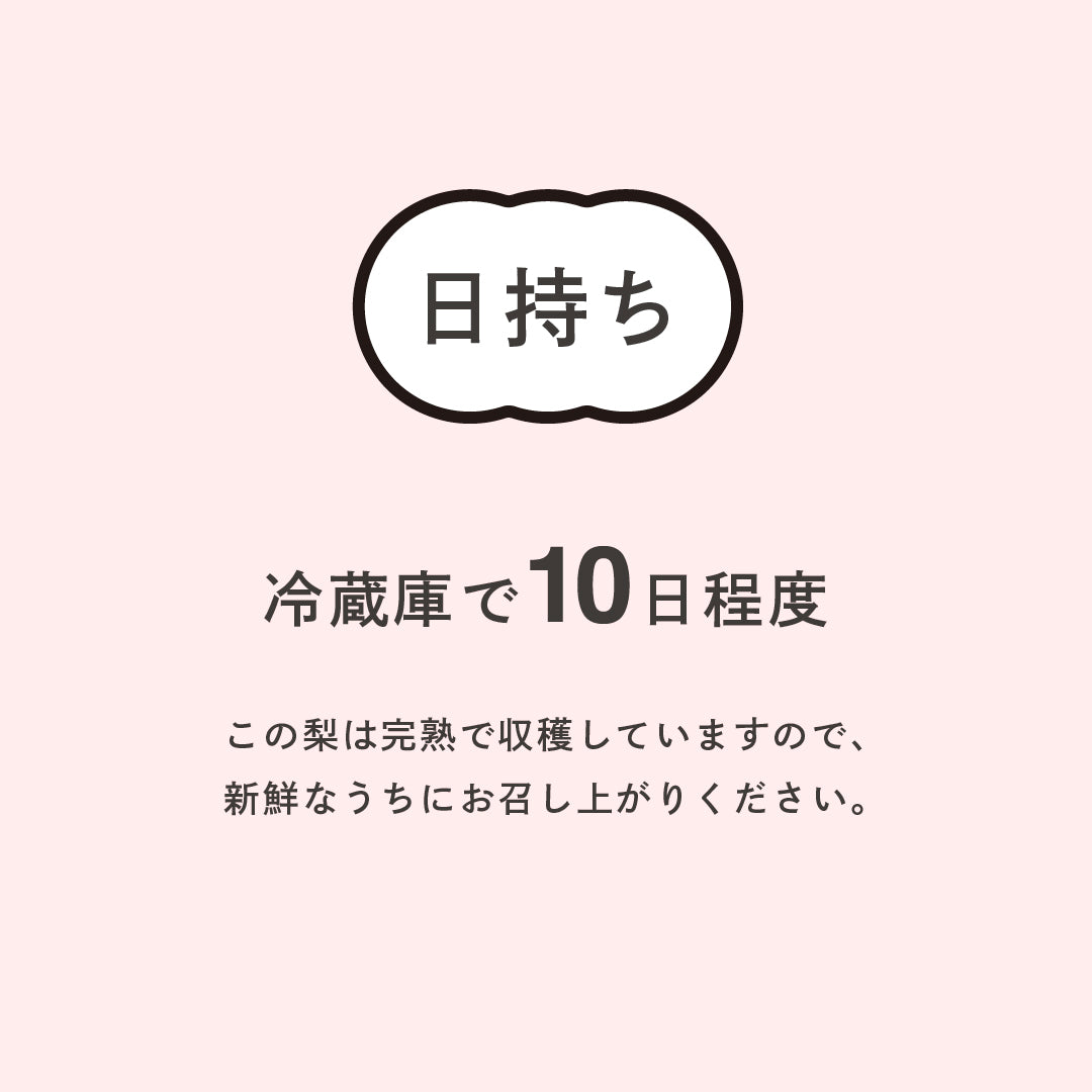幸水梨 長野県松川町産