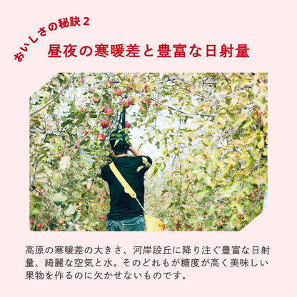 りんご「王林」