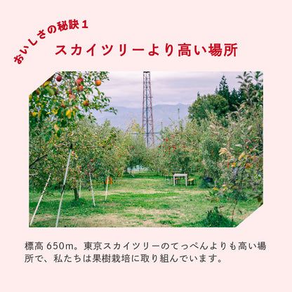 りんご「王林」