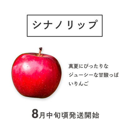 シナノリップ【ご家庭用】