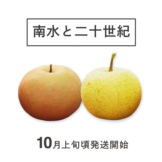 南水と二十世紀梨のセット