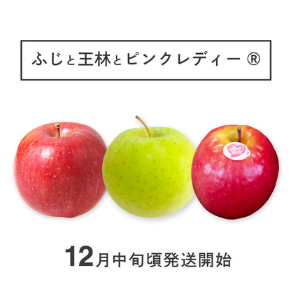 限定20箱！3種のりんご食べ比べセット【サンふじ】【王林】【ピンクレディー®】