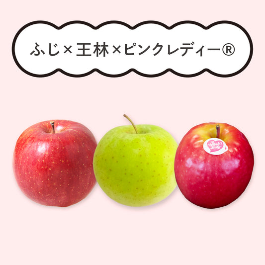 限定20箱！3種のりんご食べ比べセット【サンふじ】【王林】【ピンクレディー®】