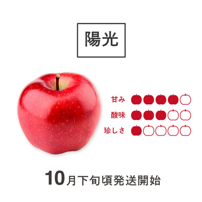 りんご【陽光】