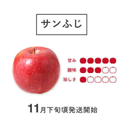 限定20箱！3種のりんご食べ比べセット【サンふじ】【王林】【ピンクレディー®】