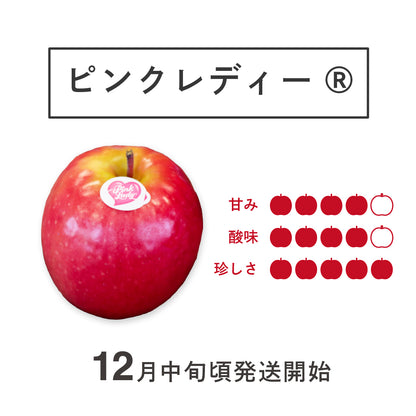 限定20箱！3種のりんご食べ比べセット【サンふじ】【王林】【ピンクレディー®】
