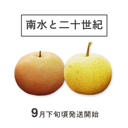 和梨「南水」「二十世紀」詰め合わせ
